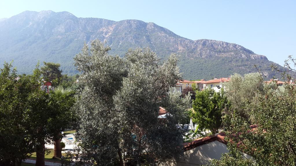 אולודניץ Kibele Hotel מראה חיצוני תמונה